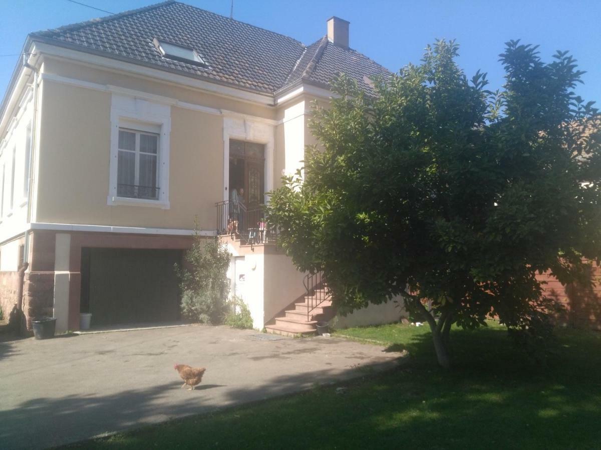 Chambres Privatives Chez L'Habitant Гебвиллер Экстерьер фото